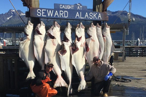 Seward Alaska Fishing Charters