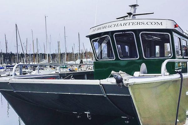 Aurora Charters: Your Expert Seward Fishing Charter