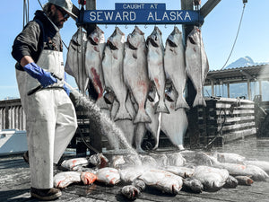 Aurora Charters Alaska charter